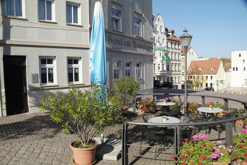Am Rossplan Hotel Altenburg Exterior foto